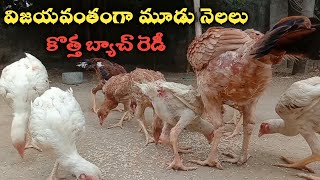 విజయవంతంగా మూడు నెలలు పూర్తి || త్వరలో వస్తున్న బంటు ఫ్యామిలీ ...!