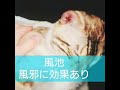 【ベンガル】猫の健康ツボ押し