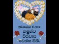 පටිසෝතගාමී ක්‍රිෂ්ණ රාධාට ප්‍රේම කළේ නෑ samanthabhadra buddha eternal love spiritual