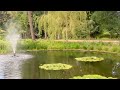 old japanese garden in the uk