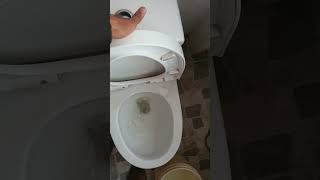 HOW TO FLUSH YOUR TOILET COMMODE ?