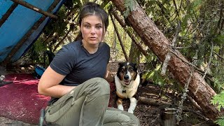 Solo Survival Camping & Building a Log Shelter