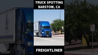 TRUCK SPOTTING #01438 / FREIGHTLINER #automobile #semitrailer #trucking