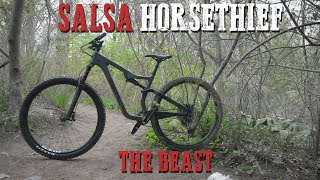 2019 Salsa Horsethief Review | What a BEAST!