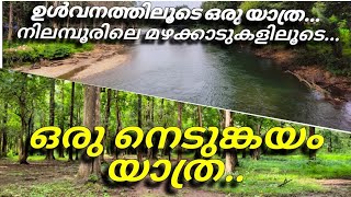 നെടുങ്കയം: മഴക്കാടുകളിലേക്ക് ഒരു യാത്ര/#short #trending #viral# #new #live#instagram #india #shorts