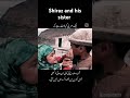 Latest short Shiraz velog|Mashallah| ❣️#viral #trending #religion #fypシ #instagram #trend