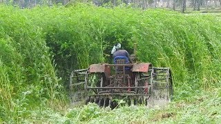 Mahindra 475 Tractor Puddling In Forest Like Plants InTractor Videos /Palleturi