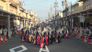 2015 8 1 すずフェス 白子駅前会場  鈴海龍