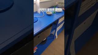 이케아 IKEA 쇼룸 기흥점 거실장 선반 인테리어 블루 컬러 BLUE 수납 수납장 아이방 장난감 정리 책꽂이 철제 소품