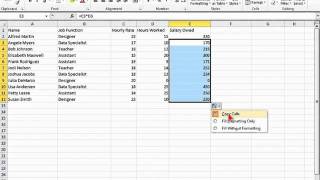 Excel 2010 Tutorial: Basic Formulas