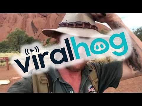 How to Get Rid of Flies || ViralHog How to Get Rid of Flies || ViralHog