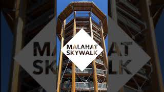 Malahat SkyWalk | Spectacular new attraction on Vancouver Island | #Shorts