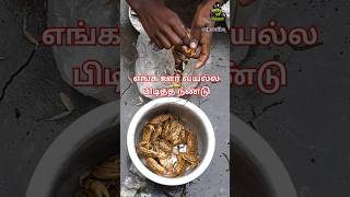 வாங்க வயல்ல நண்டு பிடிக்கலாம் #shorts #village #villagelife #villagevlog #food #villagelifestyle