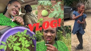 New Ventures || Holiday Wahala || Farming Failure and Success