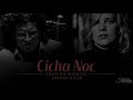 joanna kulig i zbigniew wodecki śpiewają „cichą noc”