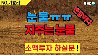 초급매!소액투자 절호의 기회!  세종시 연서면에  1억대로 살 수 있는 땅!     044-862-2220 코끼리부동산