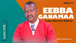 Eebba Ganamaa - Luba Qannoo Galaan Waliin/420