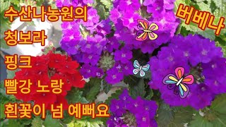 408회. 예쁘고 아름다운 수산나농원의 아이들.