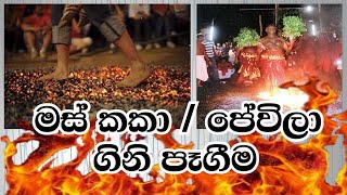 මස් කකා ගිනි පෑගීම හා පේවීලා ගිනි පෑගීම 🍗🍖🔥