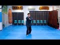 White Crane Kung Fu forms demonstrated by Master Richard Huang 黃正斌