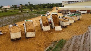 Incredible Technique.! Use Dump Trucks 24t And SHANTUI DH17C2 Dozer filling Flooded land