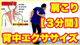 肩こり対策【３分】背中エクササイズでしっかり治す！日常生活や自宅でも自分で予防＋解説付き #家で一緒にやってみよう