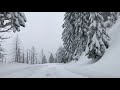 drive to yosemite in winter. yosemite during snow in 2019