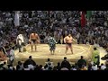 序ノ口で同部屋力士3人が巴決定戦！鳴戸部屋同期生ー丸勝、櫻井、元林 大相撲2019名古屋場所15日目