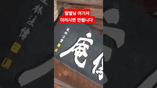 클라쓰가 다르네 클라쓰가!! 겁대가리 상실한 말벌들의 최후!! 더 상세한 내용과 영상은 댓글창으로 가보까예~~