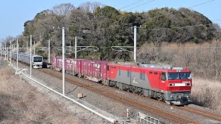 安中貨物列車 (EF500-31)、EF81133単機、E657系など