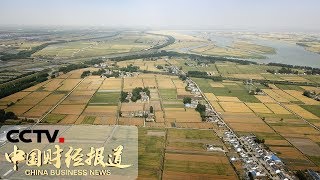 《中国财经报道》 农业农村部：今年农业农村经济亮点频现 20190521 11:00 | CCTV财经