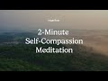 Guided Meditation | 2-Minute Self-Compassion Meditation | Insight Timer