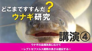 第19回成果発表会「どこまですすんだ？ウナギ研究」【講演④】