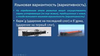 Динамічність і варіативність мовної норми. Навмисне порушення норм літературної мови.