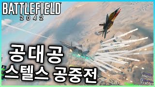 하늘위 스텔스기 공중전!!  적날틀 깨끗하게 지워드립니다 Su-57  [ 배틀필드 2042 ]