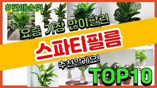 스파티필름 추천 판매순위 Top10 || 가격 평점 후기 비교