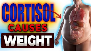 How High Cortisol Makes You Gain Weight - Cortisol And Weight Gain