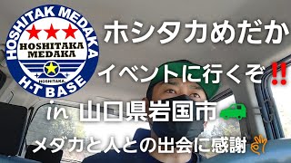 【ホシタカめだか】in 山口県岩国市🚙💨