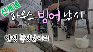 빙어낚시의 새바람. 하우스 빙어 낚시. 안성 독정낚시터.