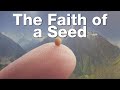 The Faith of a Seed - God Can Move Mountains!