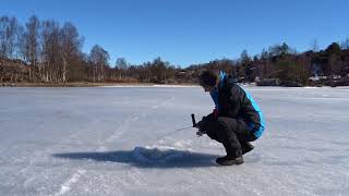 Røyefiske i Sveio 18. mars 2018