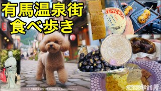 【有馬温泉♨️日帰りで愛犬と食べ歩き】栗に炭酸せんべいにお団子🍡ドッグカフェもあるよ🐶