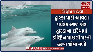 દ્વારકા પાસે આવેલા પર્યટક સ્થળ બેટ દ્વારકાના દરિયામાં ડોલ્ફિન માછલી મસ્તી કરવા જોવા મળી l 22-12-2022