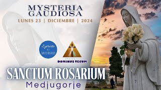 EN VIVO SANTO ROSARIO DE HOY DESDE MEDJUGORJE LUNES 23 DE DICIEMBRE 2024 ¡EN LATÍN! SANCTUM ROSARIUM