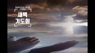 24.11.22 새벽예배 / 하나님 편에 서 있으면II(삼하17:15-29) / 채우는교회 손기석 담임목사