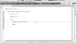 Learn Java Within 50 Days - "Switches"