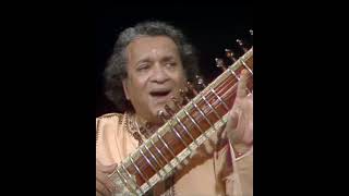 Pt. Ravi Shankar Ji 🙏🙏 #sitar #icmtabla #bbc #indianclassicalmusic #shorts #viral