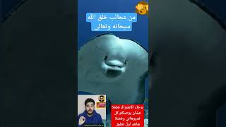 من عجائب خلق الله سبحانه وتعالى #سبحانة_الله