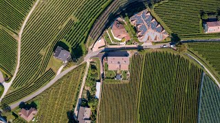 House P2 / Monticolo porphyry and vineyards