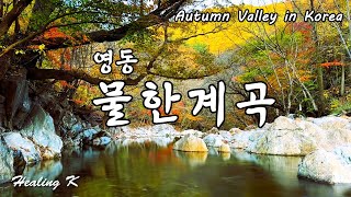 4k  가을 영동 물한계곡 | Autumn Valley in Korea | Healing Autumn Relaxing Calm